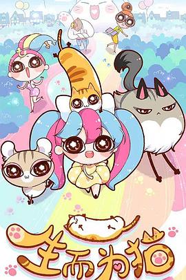 关键词seo优化加盟多少钱